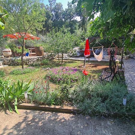 Apartments Korita Maranovići Εξωτερικό φωτογραφία