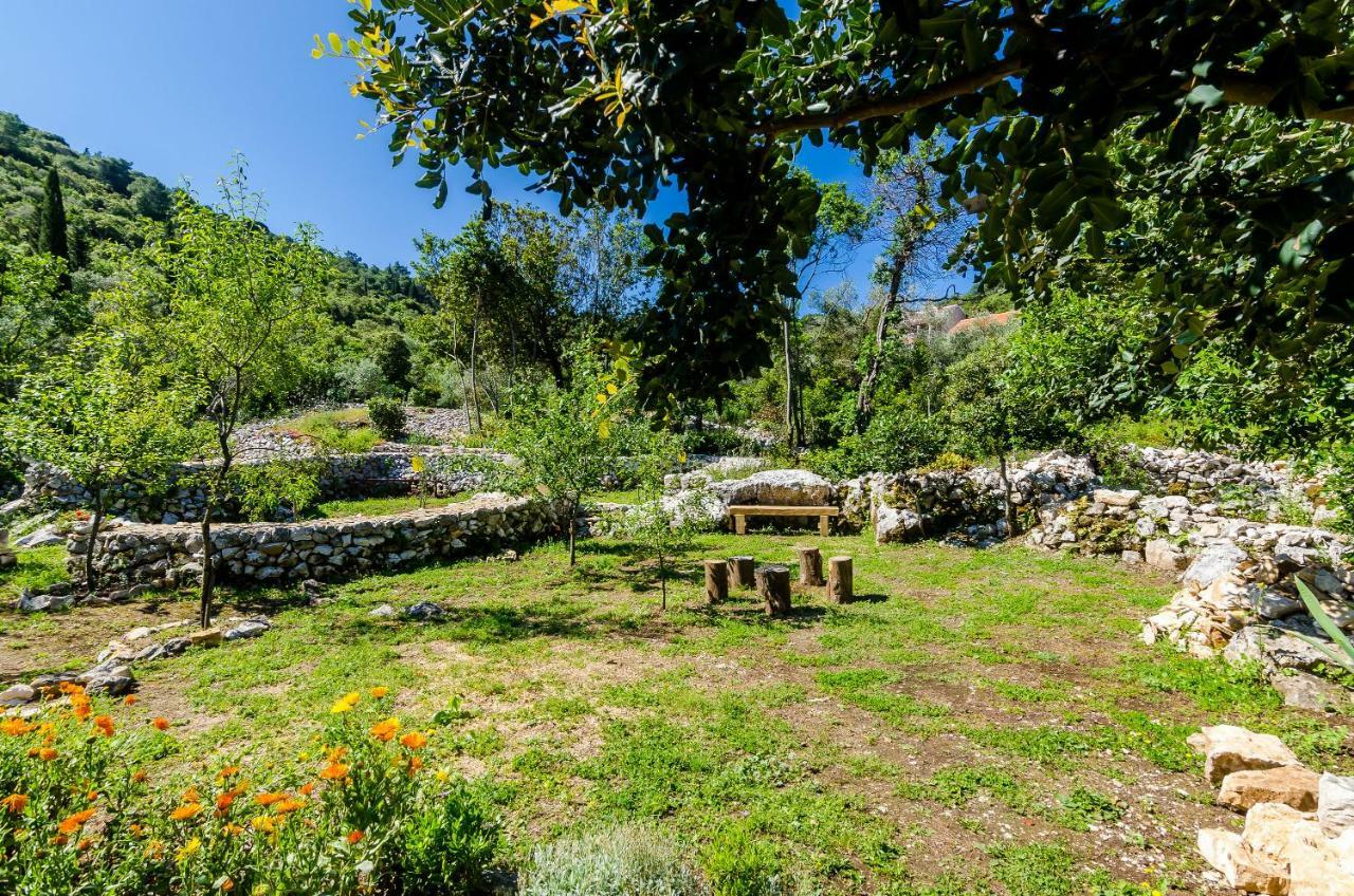 Apartments Korita Maranovići Εξωτερικό φωτογραφία
