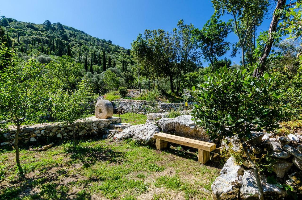 Apartments Korita Maranovići Εξωτερικό φωτογραφία